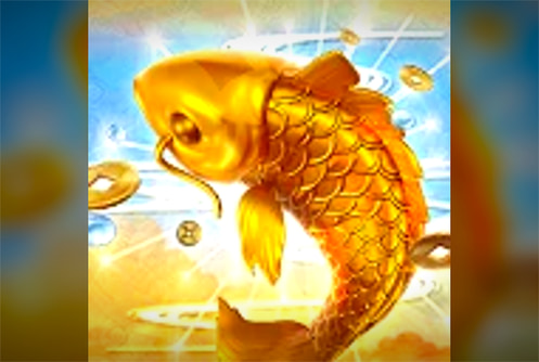 FORTUNE KOI